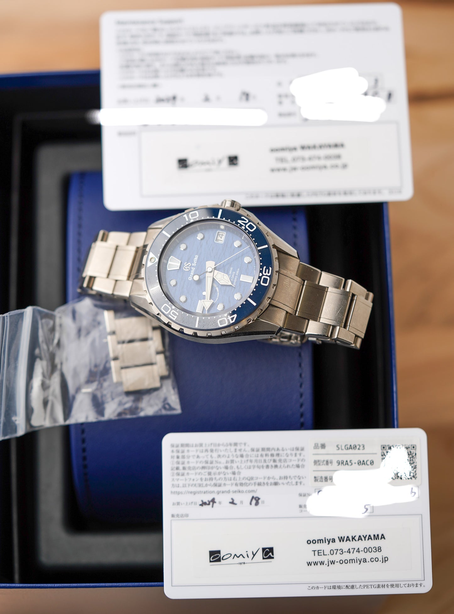 Grand Seiko Evolution 9 Diver SLGA023