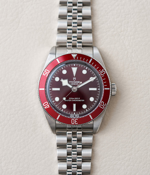 Tudor Black Bay 58 Red 7939A1A0RU