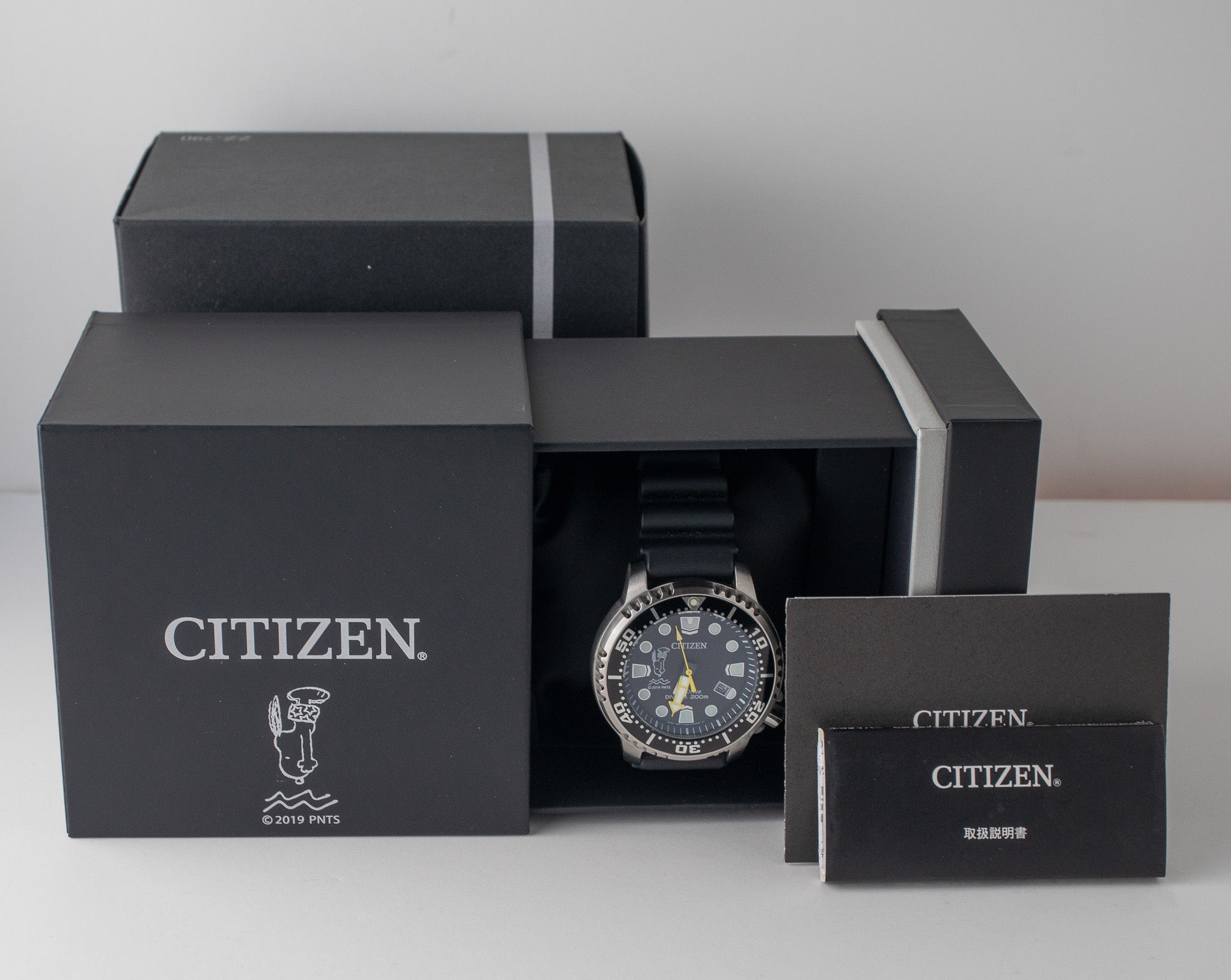Citizen eco master on sale