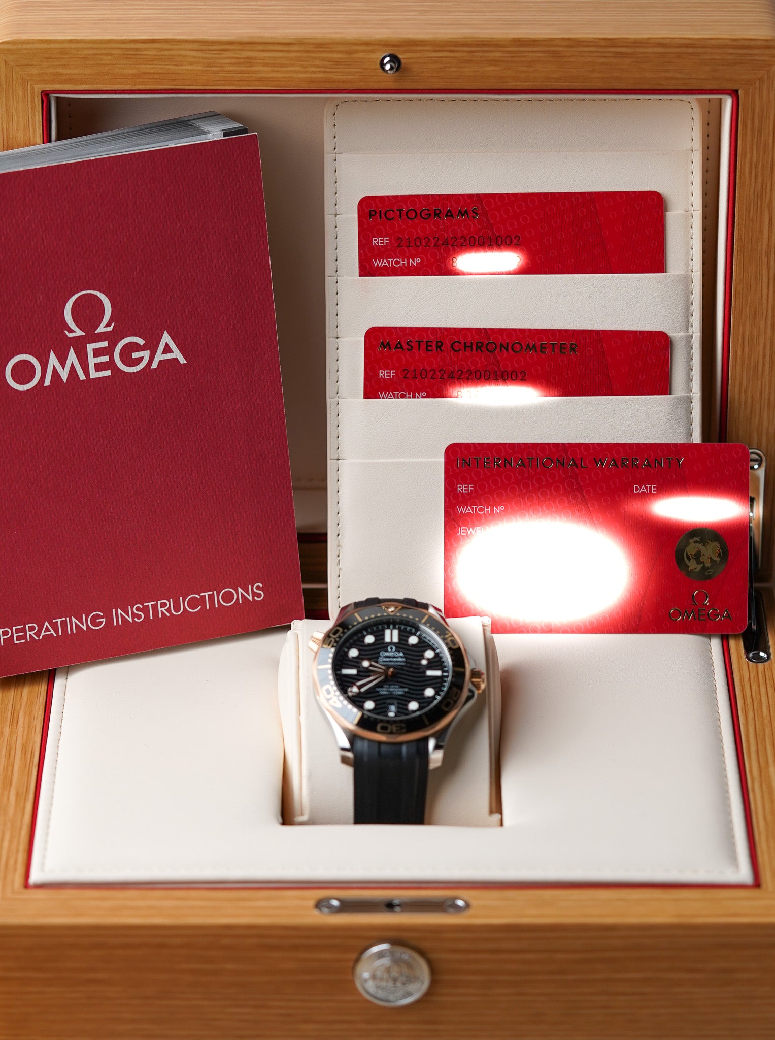 Omega Seamaster 300M Sedna Gold 210.22.42.20.01.002