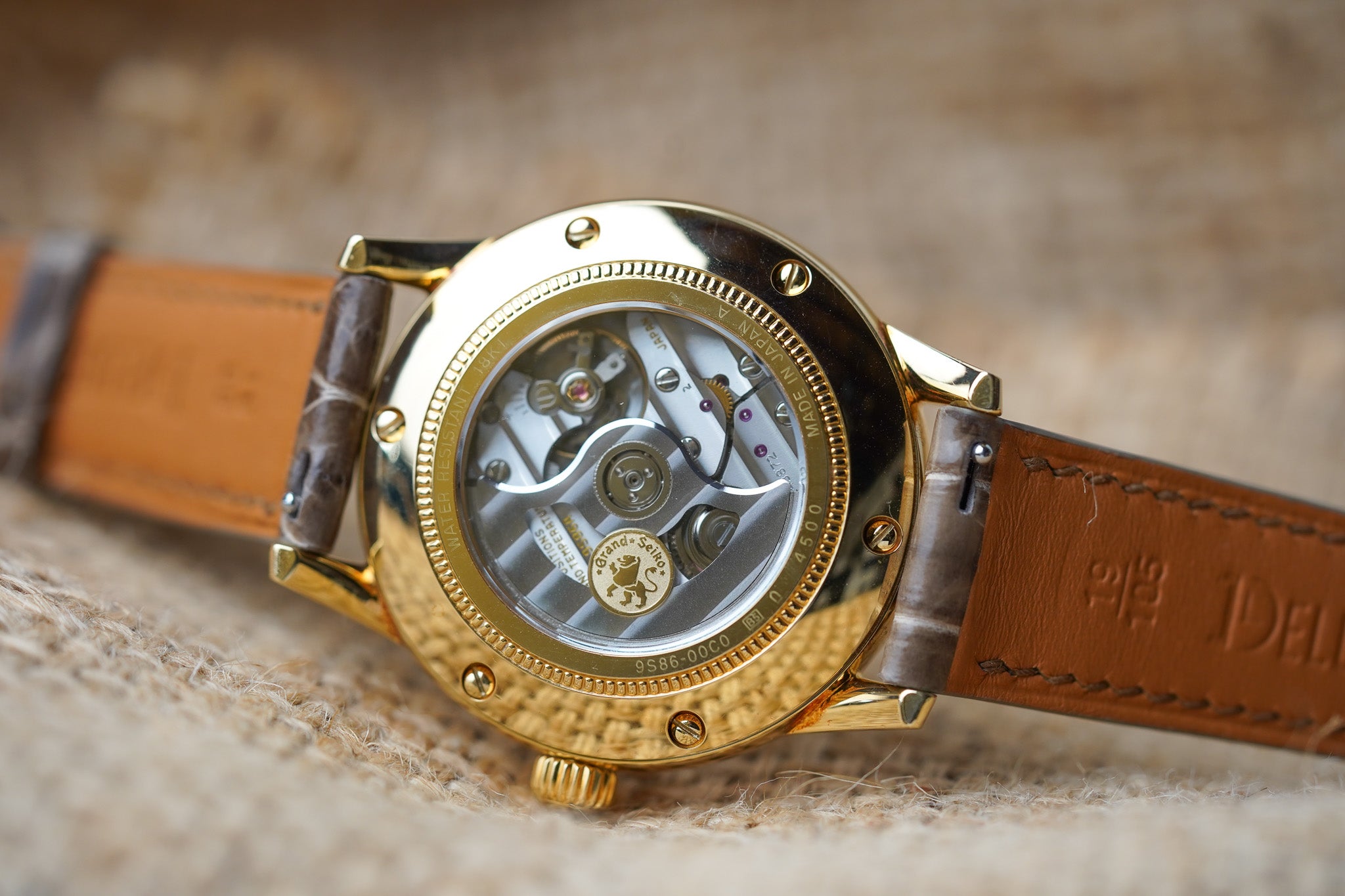 新品 SOMABITO GR8 MIYABI 38灯 GRINDRODGE 新品 SOMABITO GR8 MIYABI 38灯 GRINDRODGE 38explore】38灯 38