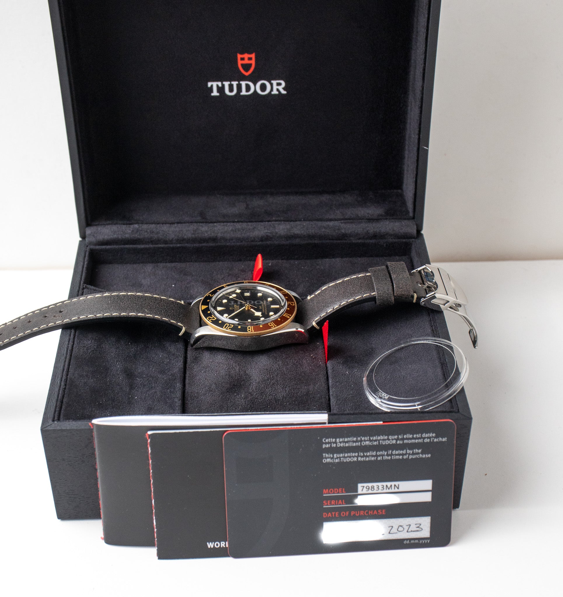 Tudor Black Bay Steel & Gold 79833MN