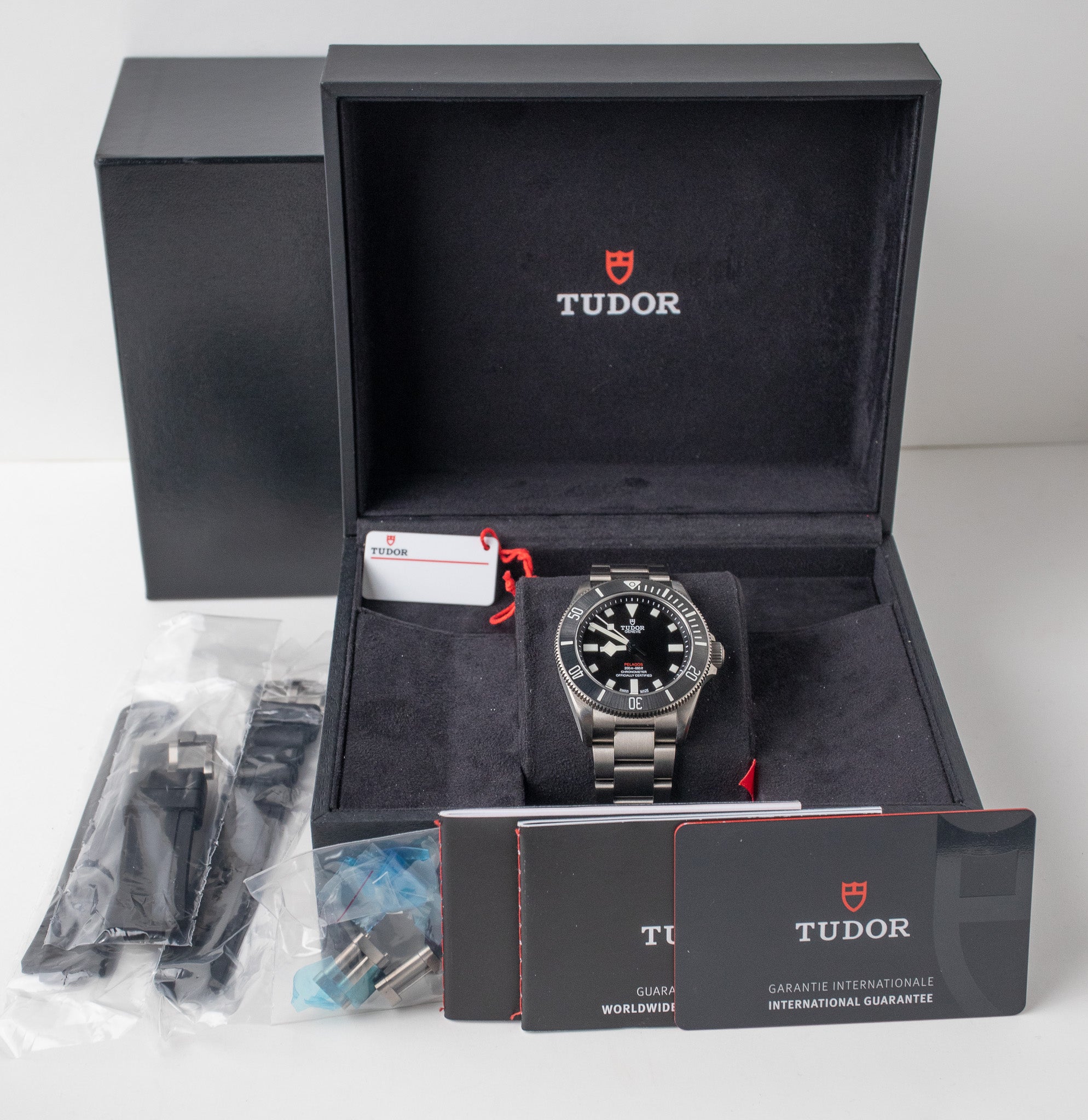 Tudor Pelagos 39 25407N