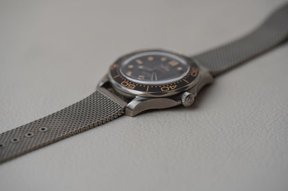 Omega Seamaster 300M 007 Titanium 210.90.42.20.01.001 NTTD