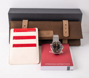 Omega Seamaster 300M 007 Titanium 210.90.42.20.01.001 NTTD