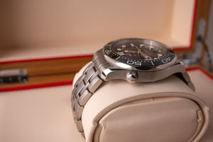 Omega Seamaster 300M 210.30.42.20.01.001