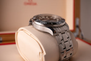 Omega Seamaster 300M 210.30.42.20.01.001