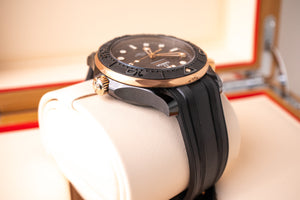 Omega Seamaster 300M Sedna 210.62.44.20.01.001