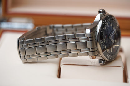 Omega Seamaster 300M Black 210.30.42.20.01.001