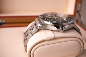 Omega Seamaster 300M Green 210.30.42.20.10.001