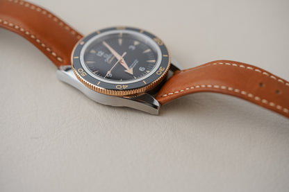 Omega Seamaster 300 Sedna Gold 41mm 233.22.41.21.01.002