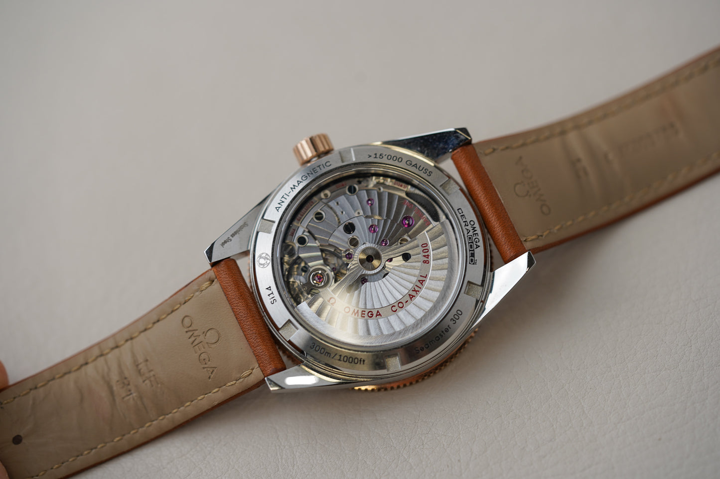 Omega Seamaster 300 Sedna Gold 41mm 233.22.41.21.01.002