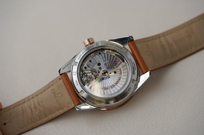 Omega Seamaster 300 Sedna Gold 41mm 233.22.41.21.01.002
