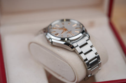 Omega Seamaster Aqua Terra 41.5 Silver and Gold 150M 231.13.42.21.01.002