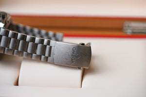 Omega Seamaster Planet Ocean 600M Titanium 232.90.46.21.03.001