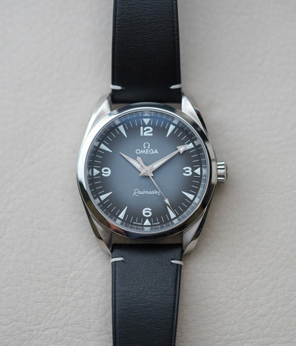 Omega Seamaster Railmaster 235.12.38.20.06.001