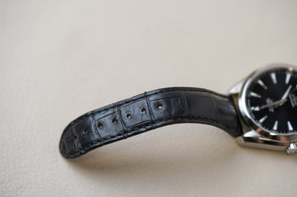 Omega Speedmaster Aqua Terra 150M Black Dial 231.13.42.22.01.001