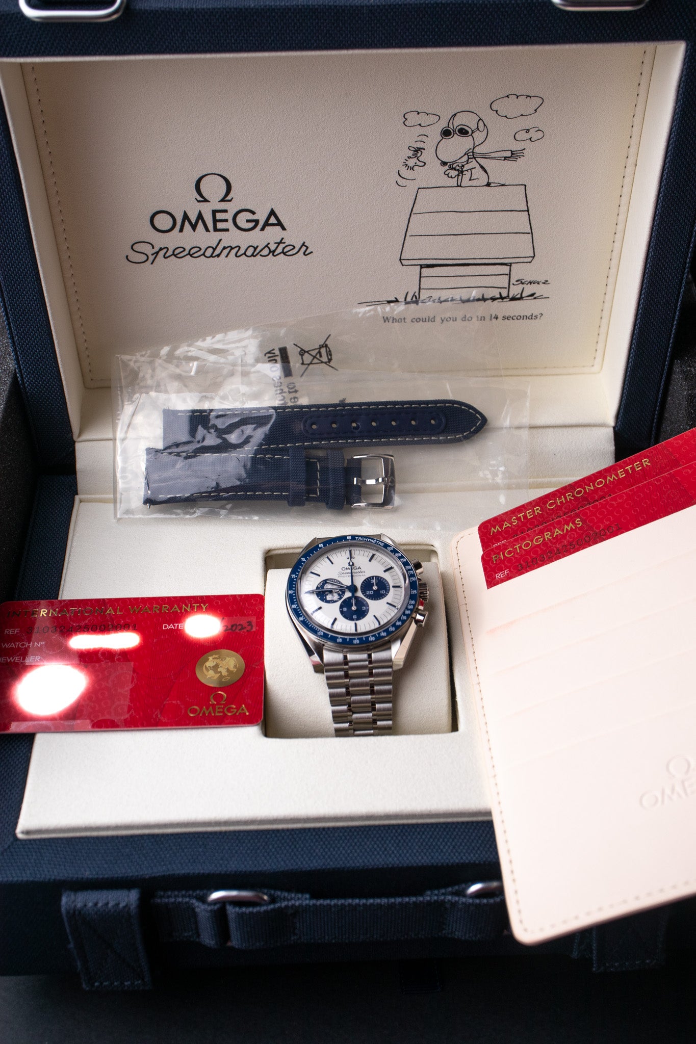 Omega Speedmaster “Silver Snoopy Award” 310.32.42.50.02.001