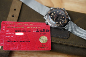 Omega Seamaster 300M 007 Titanium 210.90.42.20.01.001 NTTD