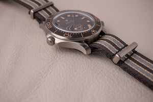 Omega Seamaster 300M 007 Titanium 210.92.42.20.01.001 NTTD
