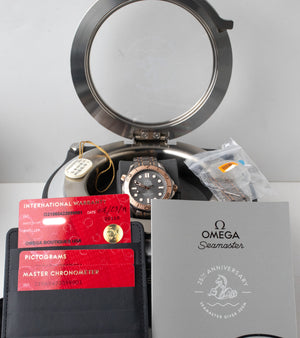 Omega Seamaster 300M Titanium ‑ Tantalum ‑ Sedna Gold 210.60.42.20.99.001