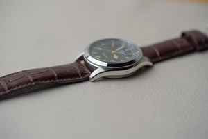 Seiko Alpinist SARB017