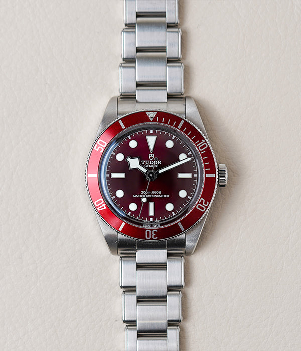 Tudor Black Bay 58 Red 7939A1A0RU