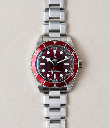 Tudor Black Bay 58 Red 7939A1A0RU