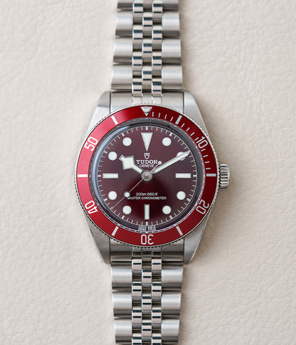 Tudor Black Bay 58 Red 7939A1A0RU