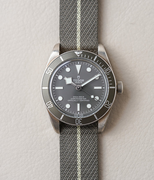 Tudor Black Bay 58 Silver 925 79010SG