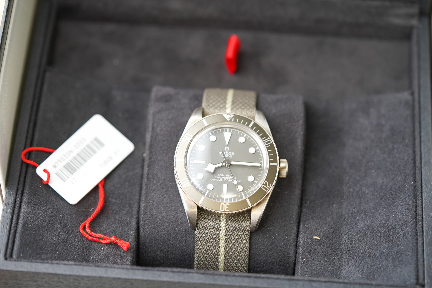 Tudor Black Bay 58 Silver 925 79010SG