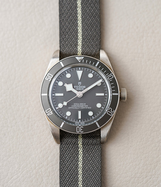Tudor Black Bay 58 Silver 925 79010SG