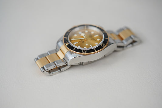 Tudor Heritage Black Bay Steel and Gold 79733N Champagne Dial