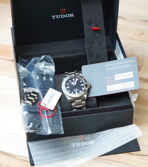 Tudor Pelagos 25407N 39mm Titanium