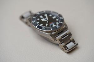Tudor Pelagos 25407N 39mm Titanium