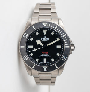 Tudor Pelagos 39 25407N