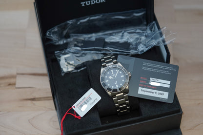 Tudor Pelagos 39 Dino Titanium 25407 Google Edition