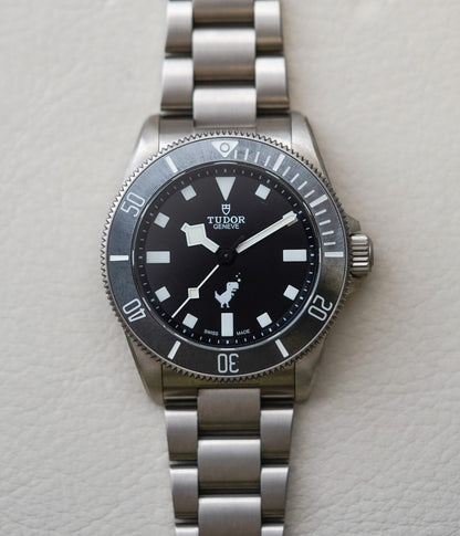 Tudor Pelagos 39 Dino Titanium 25407 Google Edition