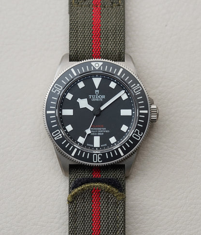 Tudor Pelagos FXD 25717N