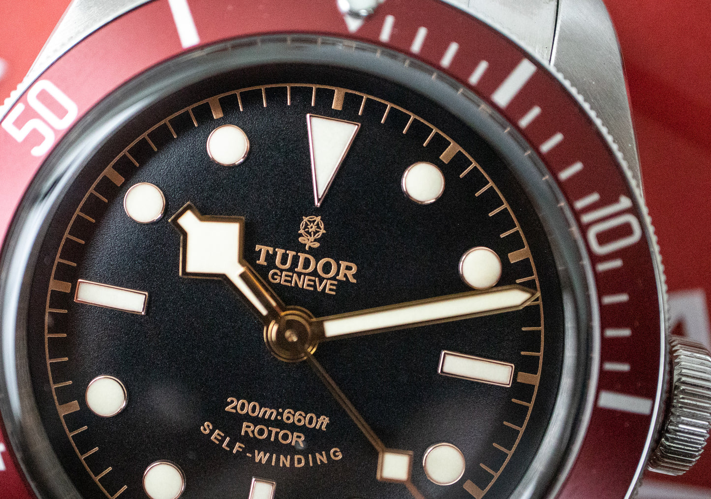 Tudor Heritage Black Bay 79220R