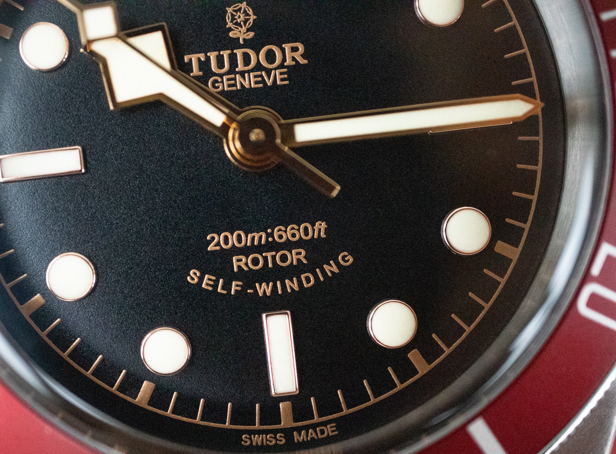 Tudor Heritage Black Bay 79220R