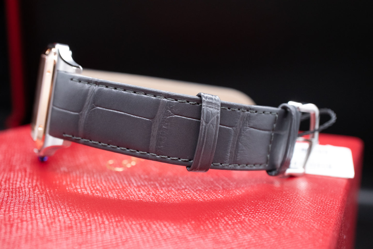 Cartier Santos-Dumont W2SA0025