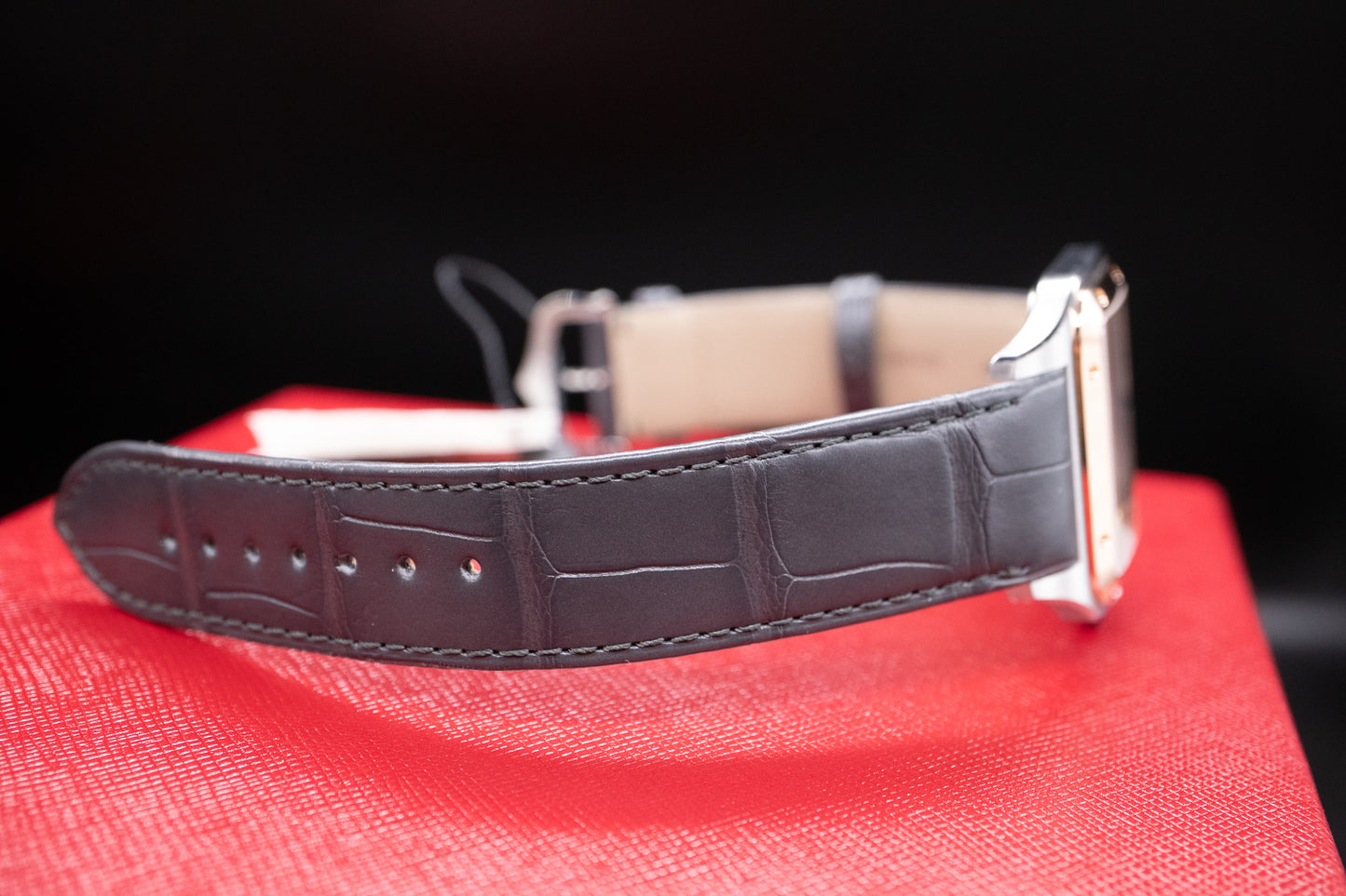 Cartier Santos-Dumont W2SA0025