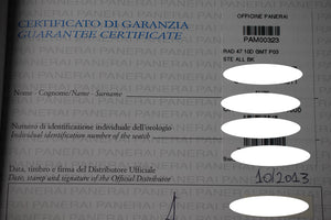 Panerai Radiomir 10 Days GMT Acciaio PAM323