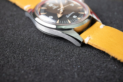 Omega Railmaster 1957 Trilogy Edition