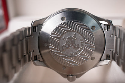 Omega Seamaster 300 M GMT