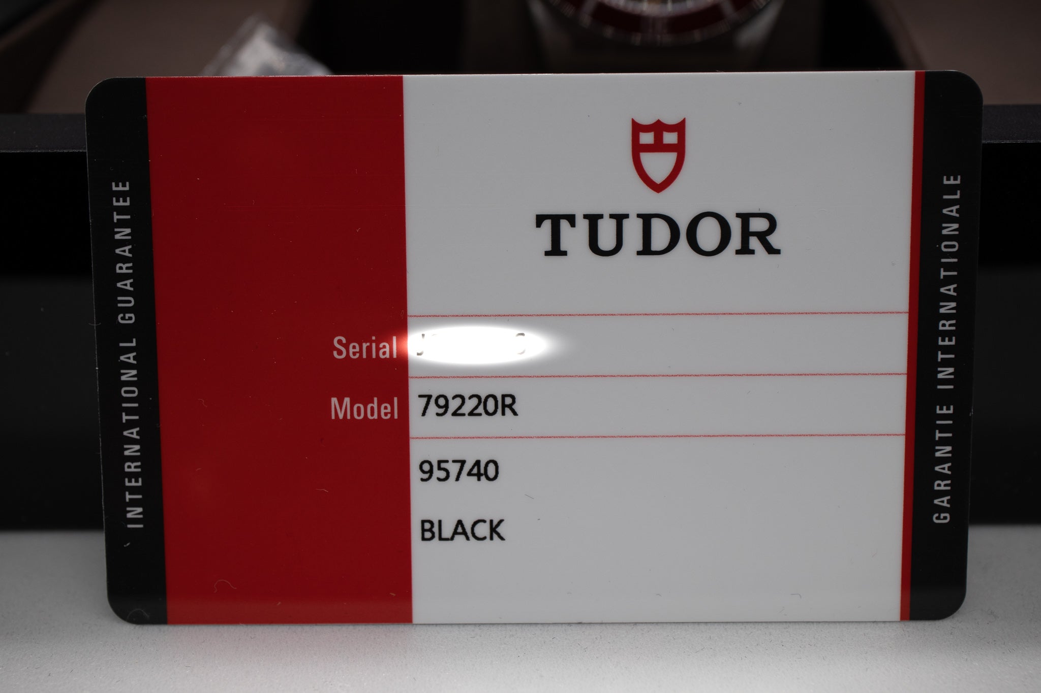 Tudor Heritage Black Bay 79220R