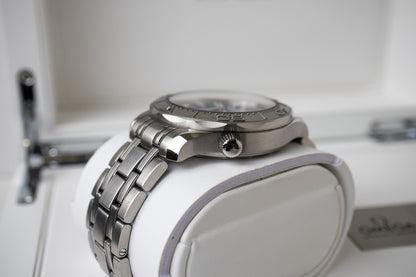 Omega Seamaster 300M "Beijing 2022"