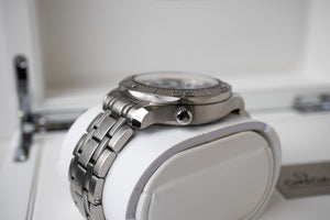 Omega Seamaster 300M "Beijing 2022"