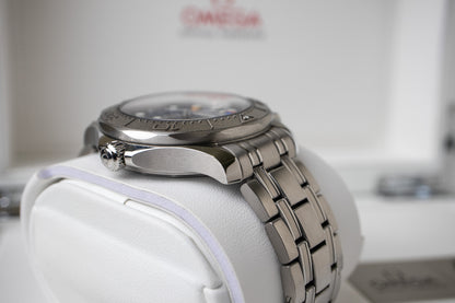 Omega Seamaster 300M "Beijing 2022"